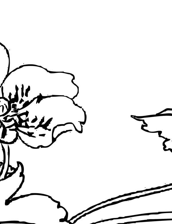 白描花卉圖片