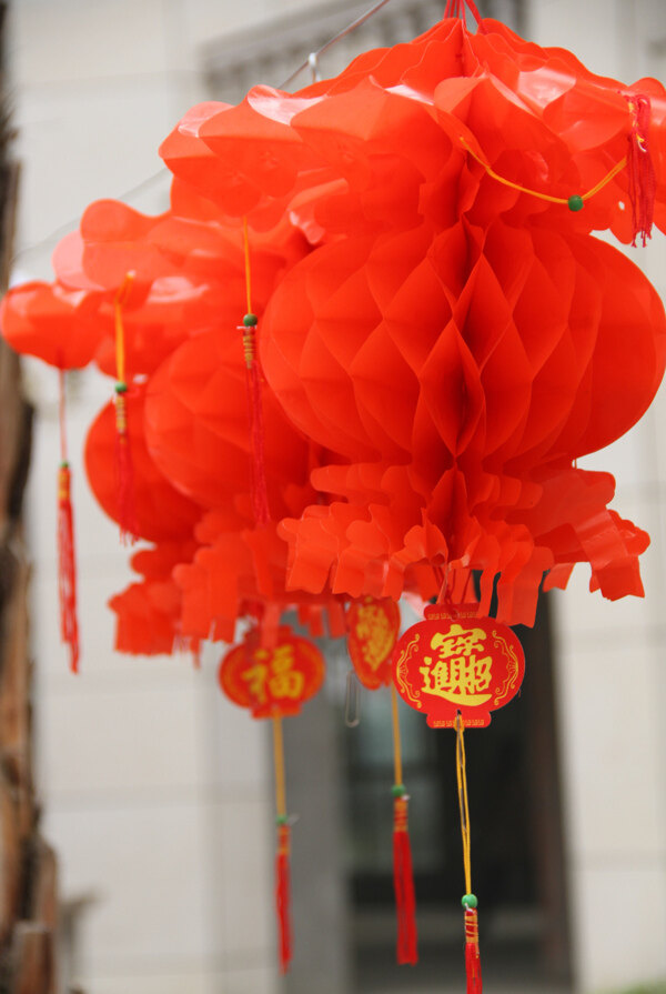 紅燈籠圖片