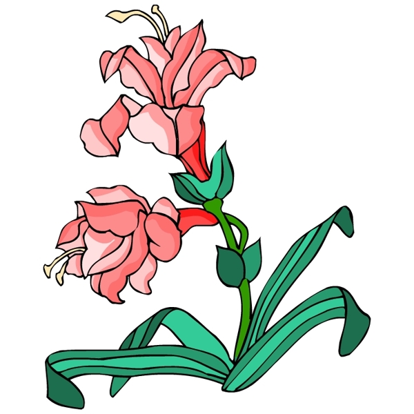 花卉古典插畫