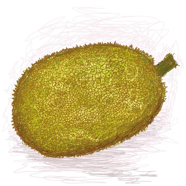 菠蘿蜜