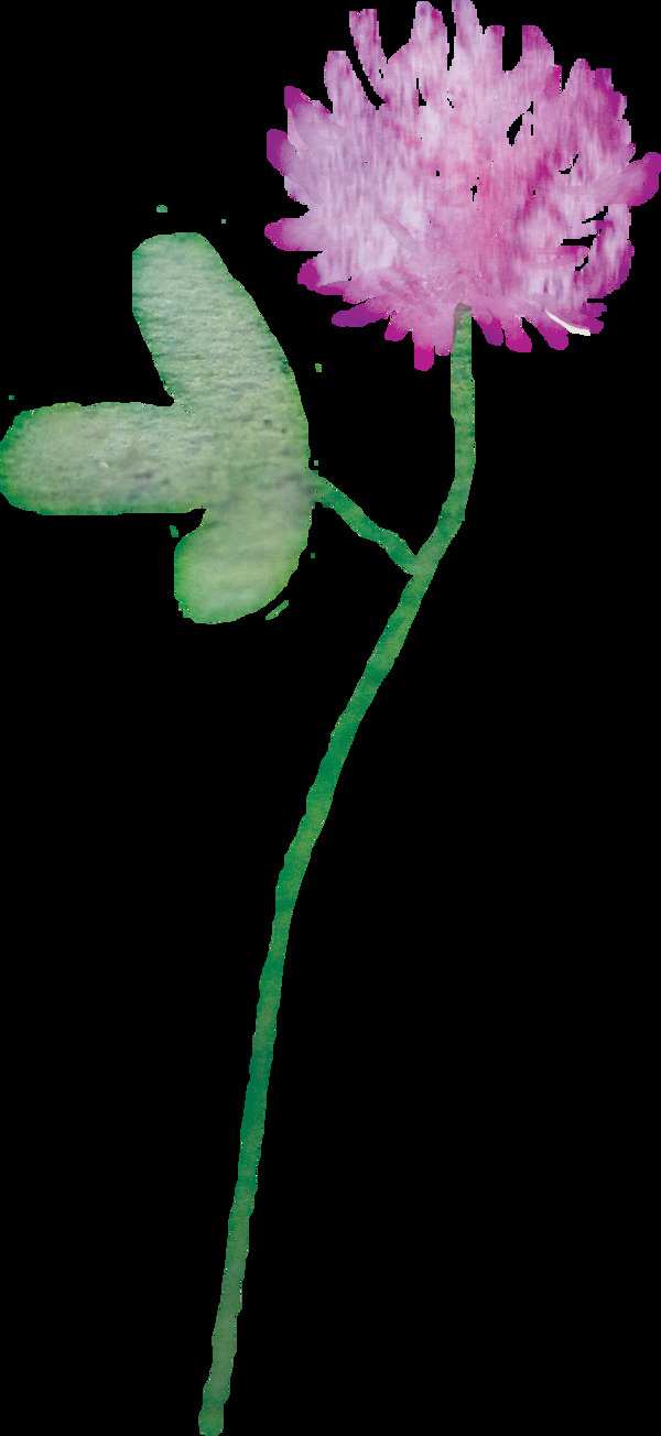水彩花