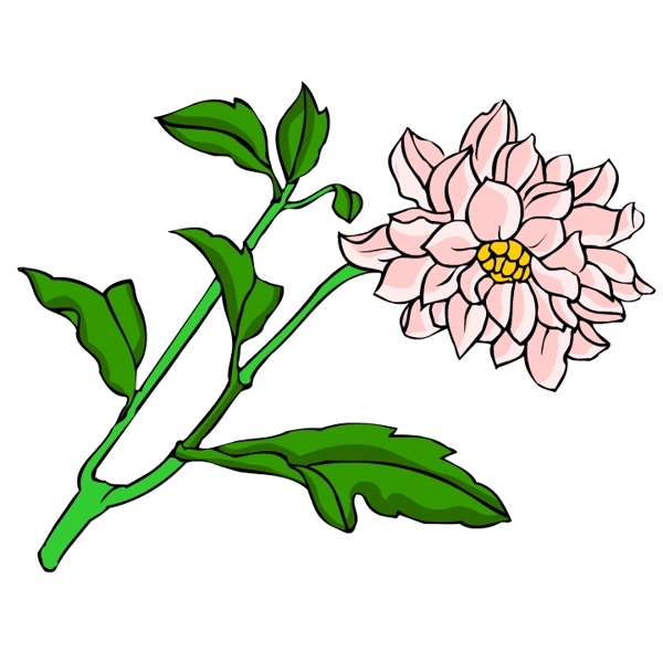 花卉古典插畫