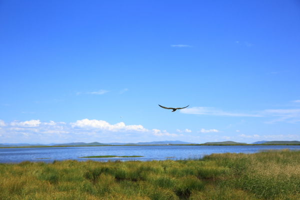 四川若爾蓋花湖風(fēng)景