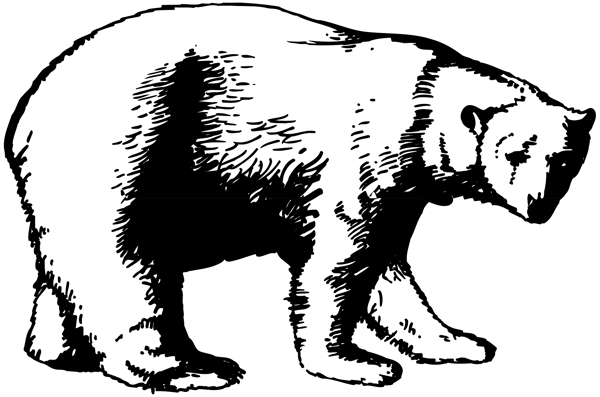 野生動物矢量素材eps格式0072