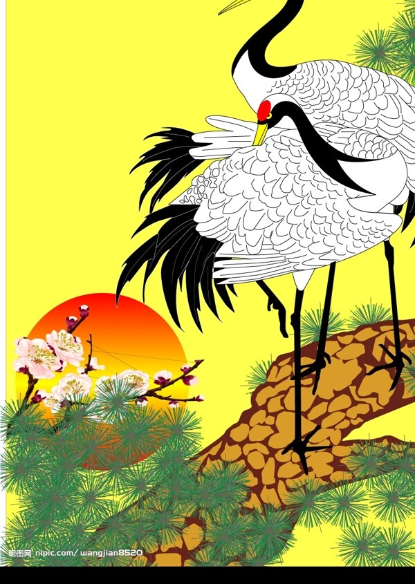 松樹和鶴圖片