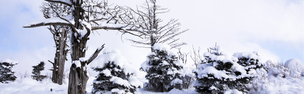 雪景背景