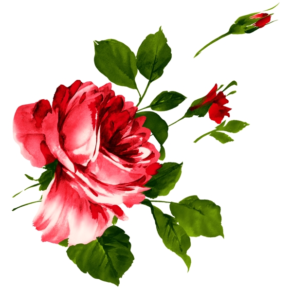 水彩花素材