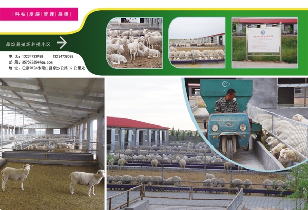 種植養(yǎng)殖農(nóng)業(yè)示范園圖片