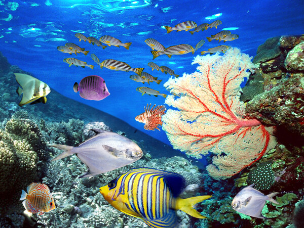 海底世界