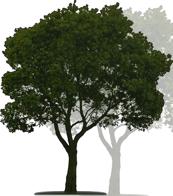 概念树素材ps图片