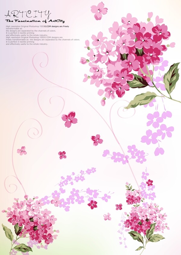 花朵矢量圖