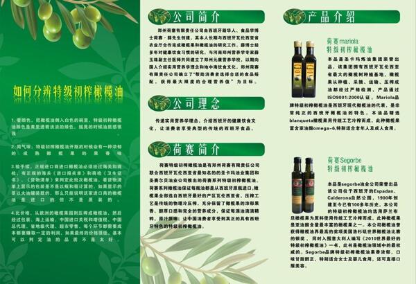 橄欖油三折頁圖片