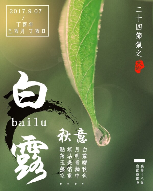 白露節(jié)氣海報(bào)