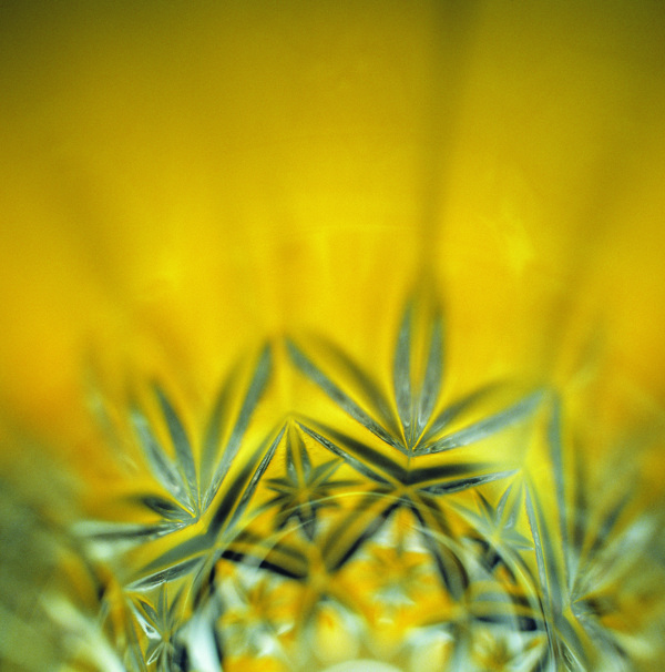 玻璃花彩花玻璃花樣水晶玻璃
