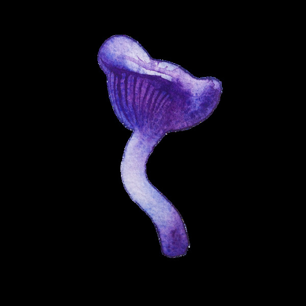 紫馨蘑菇卡通透明素材