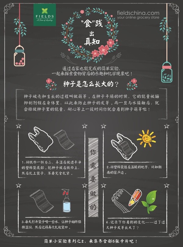 實(shí)驗(yàn)卡片種子中文