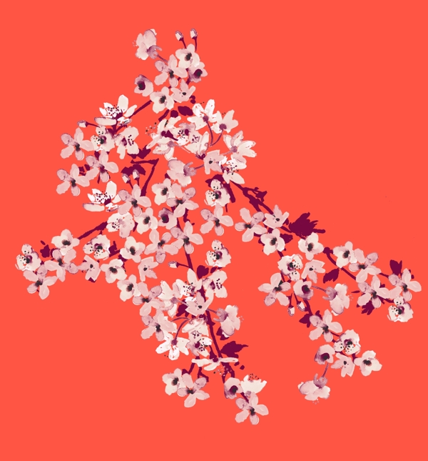 桃花圖片