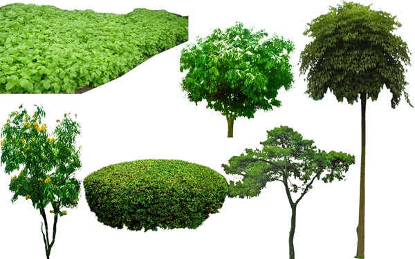 中式园林景观设计景观植物素材图片