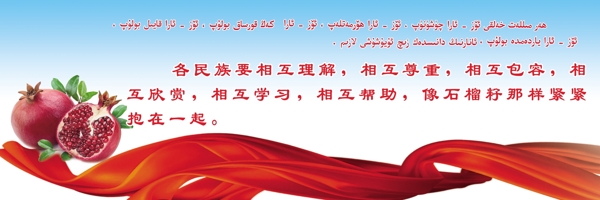 石榴籽圖片