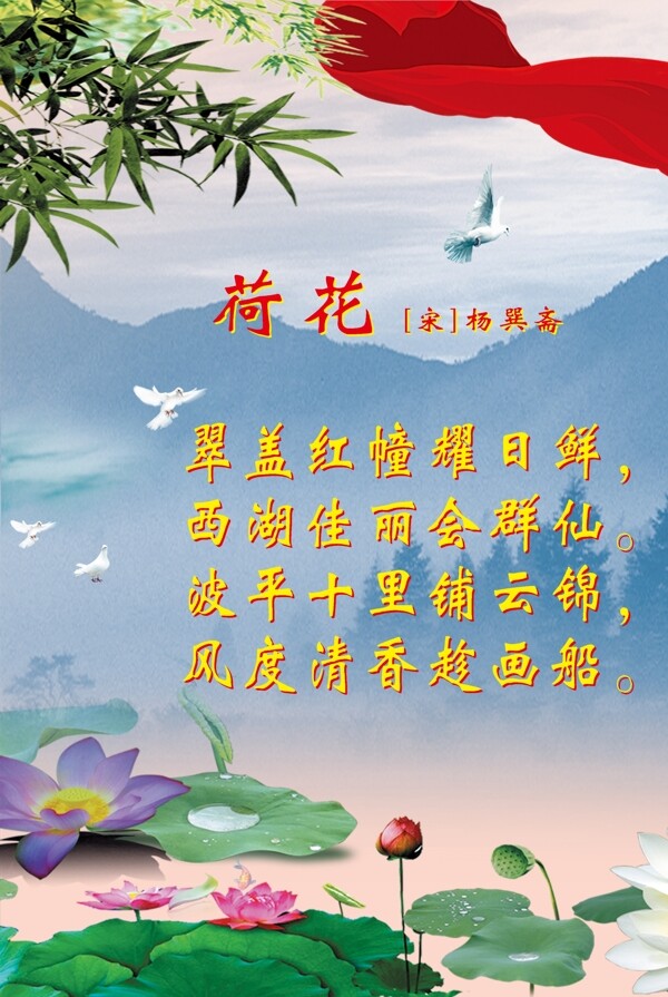 荷花訟圖片