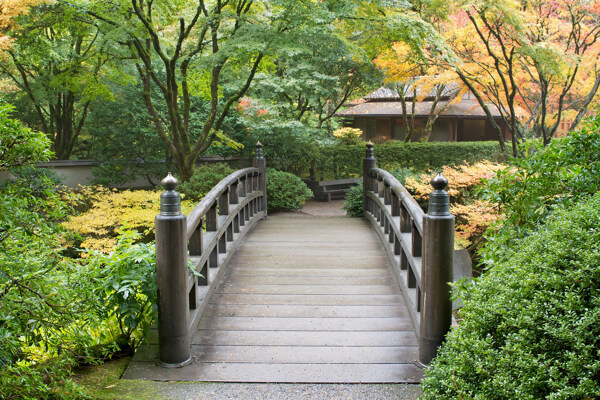 日本公园拱桥风景图片
