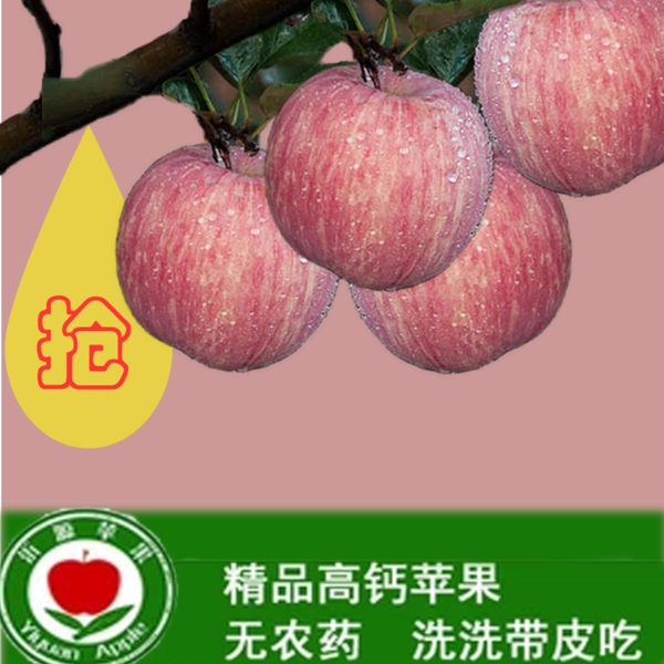 寶貝主圖