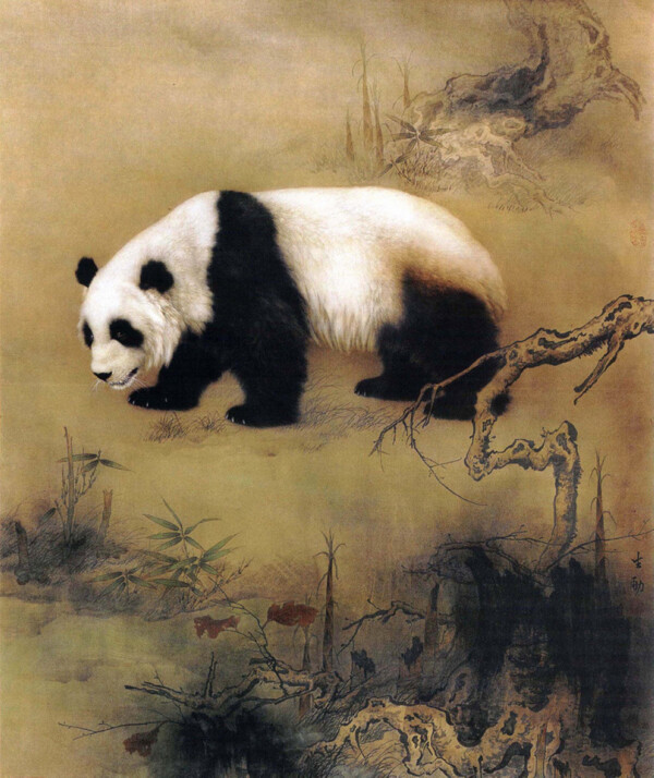 熊貓圖片