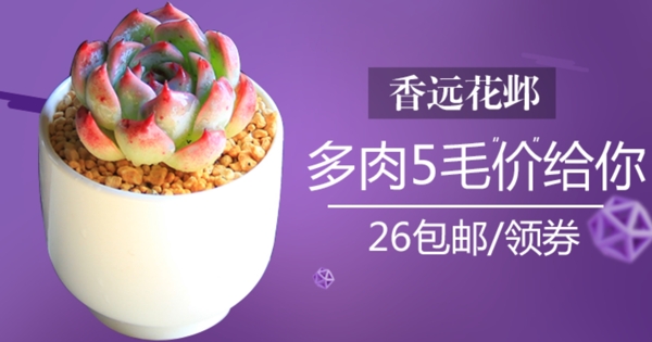 促銷海報多肉