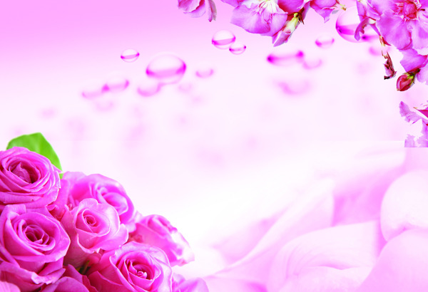 玫瑰花