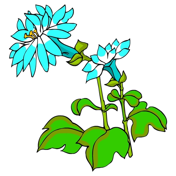 花卉古典插畫(huà)