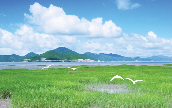 山水風(fēng)景圖片