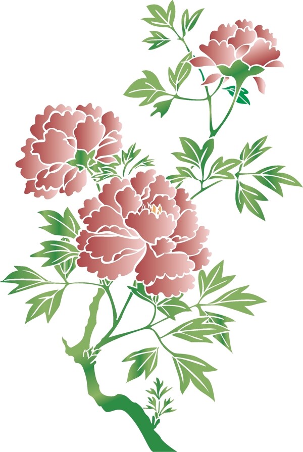 花朵圖片