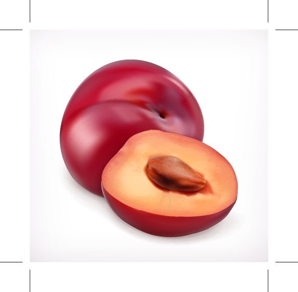 新鲜水果矢量素材下载适用于水果素材