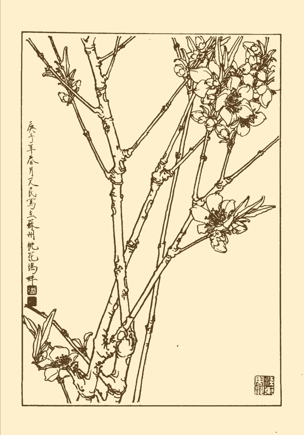 桃花圖片