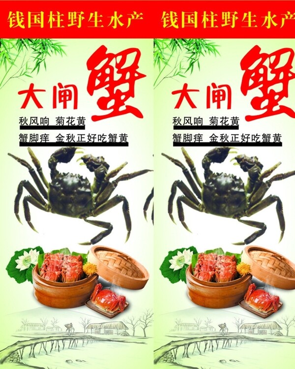 大閘蟹圖片