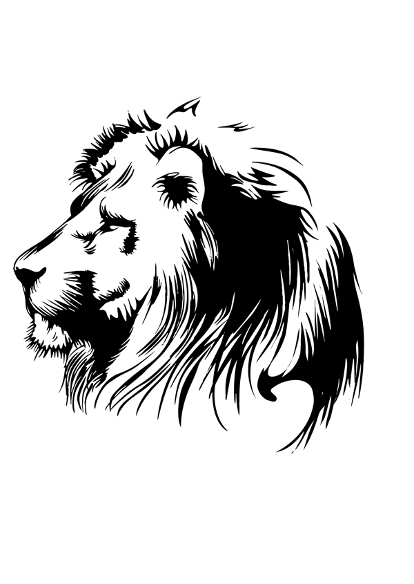 獅子5