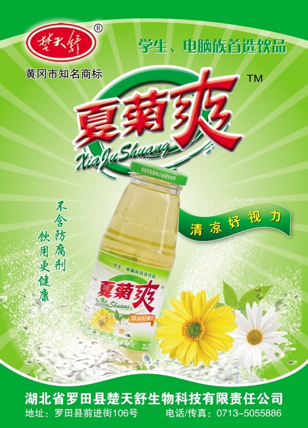 夏菊爽海報圖片