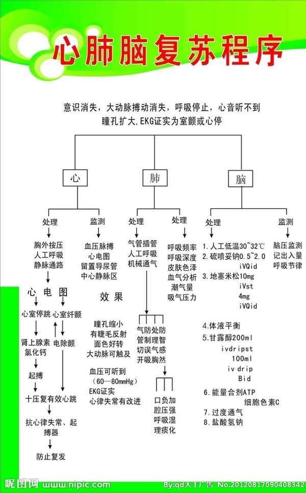 心肺腦復(fù)蘇程序圖片