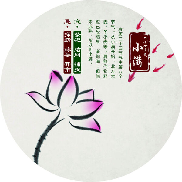 小滿節(jié)氣