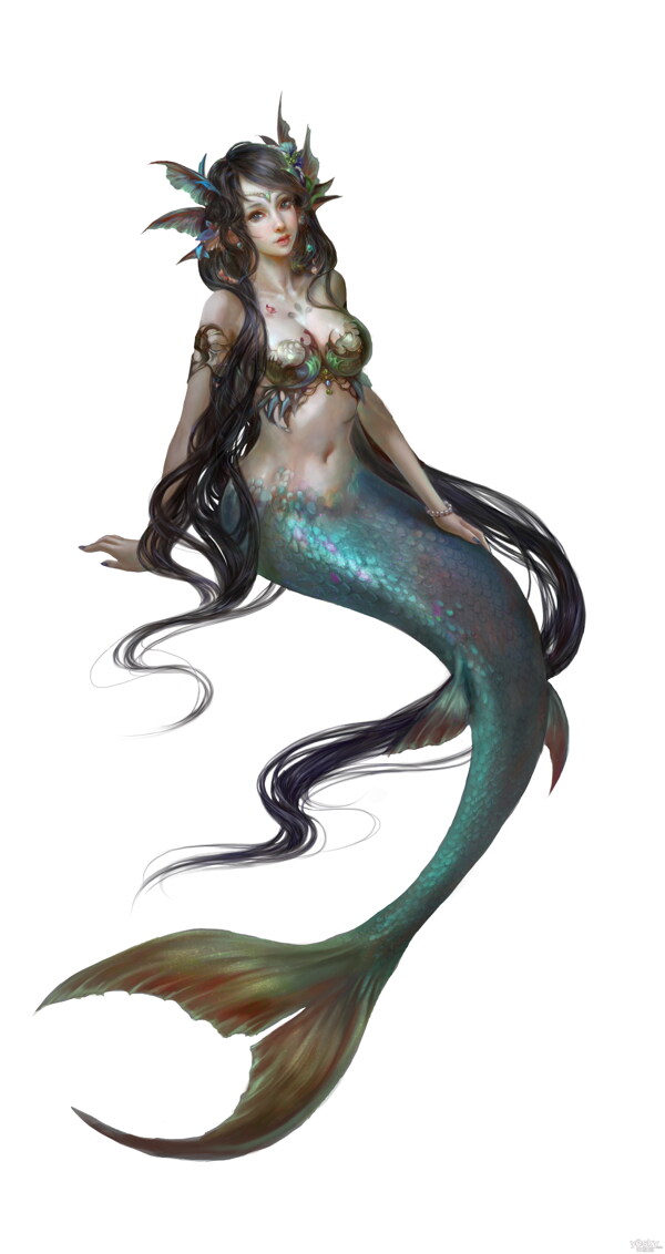 美人魚(yú)圖片