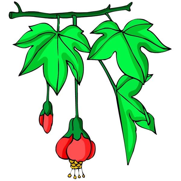 花卉古典插畫