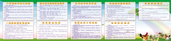 展板雞展板圖片