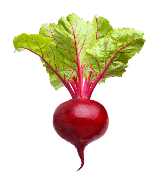 甜菜
