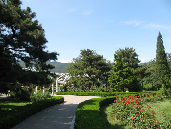 綠化景觀圖片