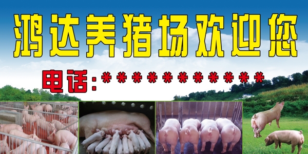 養(yǎng)豬場門頭圖片