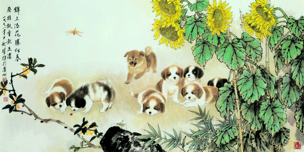 葵花飄香圖片