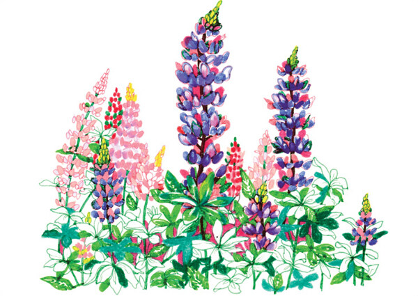 位圖插畫時尚插畫植物插畫藝術(shù)效果免費素材
