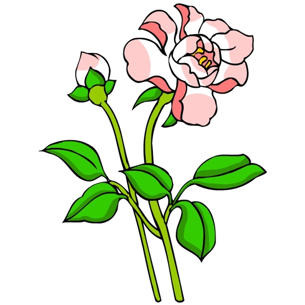 花卉古典插畫(huà)