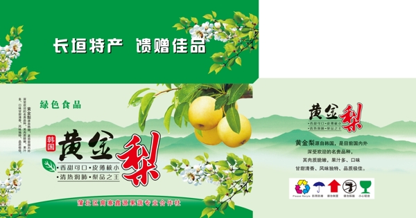 黃金梨圖片