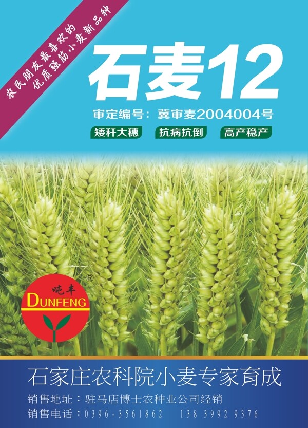 麥種單頁